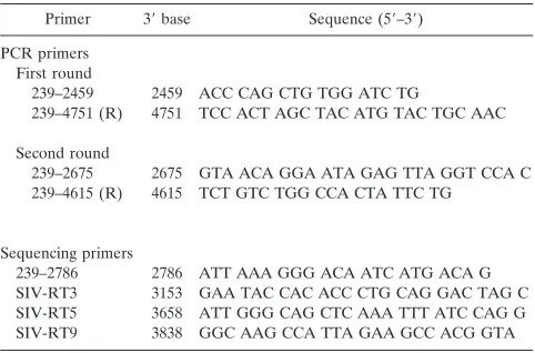 TABLE 1. Primer sequences for PCR and sequencing of SIV RT
