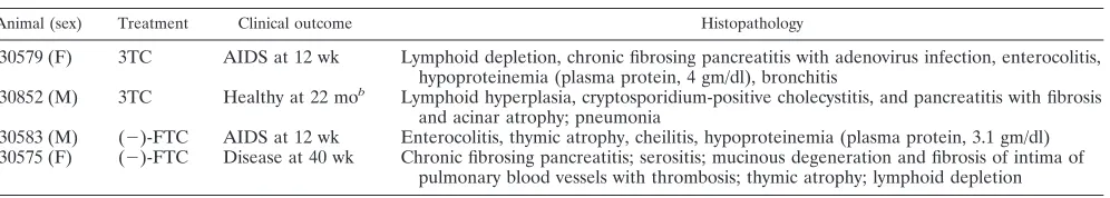 TABLE 2. Treatment of SIVmac251-infected infant macaques with 3TC or FTC: experimental design and summary of outcomea