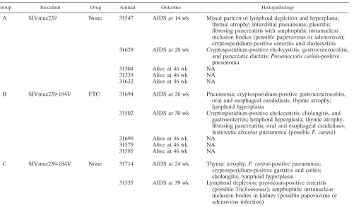 TABLE 3. Inoculation of juvenile macaques with wild-type SIVmac239 or SIVmac239-184V: experimental design and summary of outcomea