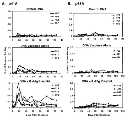 FIG. 1. Secondary Env p41A-speciﬁc CD8�gagMamu-A*01/p68A tetramer (B). The percentages of CD3 T-cell responses in plasmid DNA-vaccinated rhesus monkeys following virus challenge