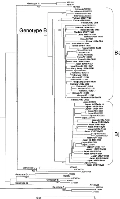 FIG. 1. Phylogenetic tree constructed on the complete nucleotide sequences of 70 HBV isolates of genotype B and 15 isolates representativeof genotypes A, C, D, E, F, and G