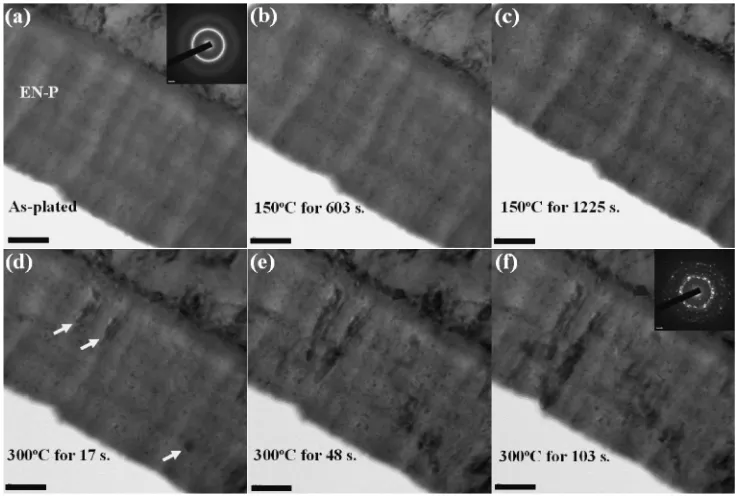 Fig. 6NBED analyses on the step heat treated EN-P UBM shown in Fig. 5(f). The crystallized EN-P UBM was a mixture of Ni3P, Ni12P5,Ni5P2 and Ni.