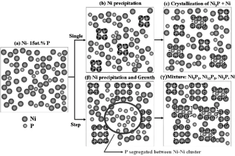 Fig. 7Schematic diagram of crystallization behaviors of the EN-P with themedium phosphorous (15 at%).