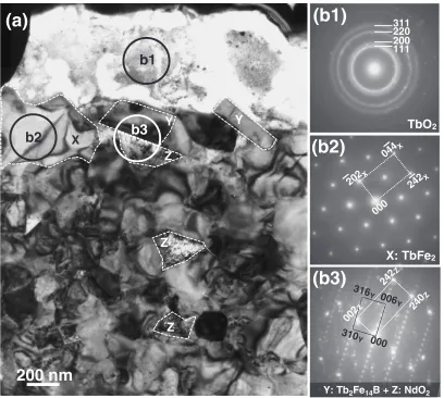 Fig. 3(a) TEM-BF image and (b1)–(b3) corresponding selected area electron diﬀraction (SAED) patterns taken from the regions (areas)(b1)–(b3) in (a).