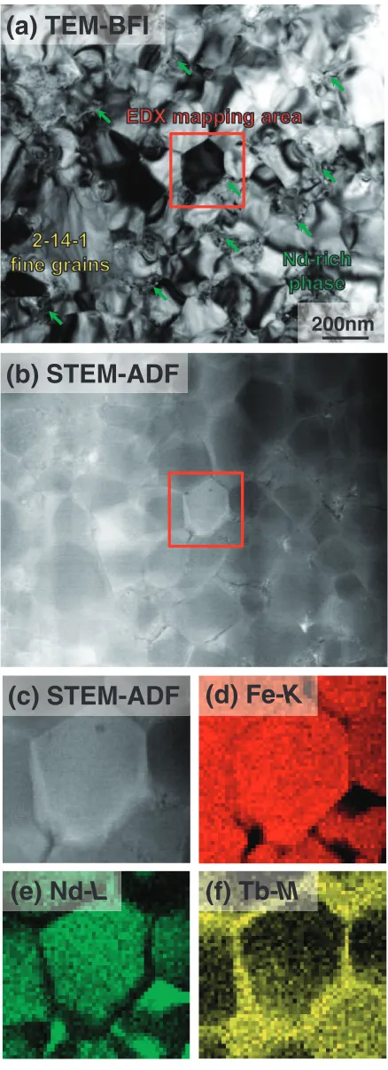 Fig. 5(a) TEM-BF image of lower part of the PLD-made Nd-Fe-B thickﬁlm with the Tb-diﬀusion coating treatment corresponding to the region Cin Fig