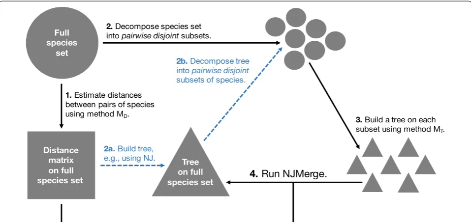 Fig. 4 Divide-and-conquer pipeline using NJMerge. We present a divide-and-conquer pipeline that operates by (1) estimating distances between Mpairs of species using method MD , (2) decomposing the species set into pairwise disjoint subsets, (3) building a 