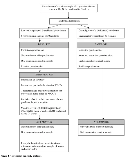 Figure 1 Flowchart of the study protocol.
