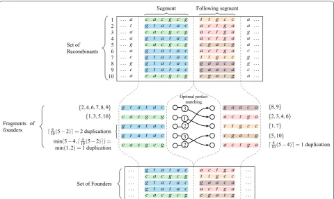 Fig. 3 The duplication of the fragments and the link between optimal solution of perfect matching and the concatenation of the fragments to obtain the set of founder sequences