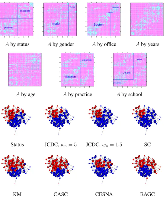 Figure 2.3: (a)-(g): adjacency matrix with nodes sorted by features; (h): network with nodes colored by status (blue is partner, red is associate); (i)-(n): community detection results from different methods.