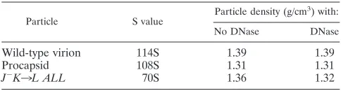 TABLE 1. Genotypes and phenotypes of �X174 J mutants in these studies