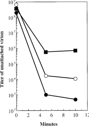 FIG. 5. Native gel migration of wild-type and su(J)-FS1F/JJ3Kparticles. Negative gel section numbers indicate movement toward thenegative electrode; positive gel section numbers indicate movementtoward the positive electrode