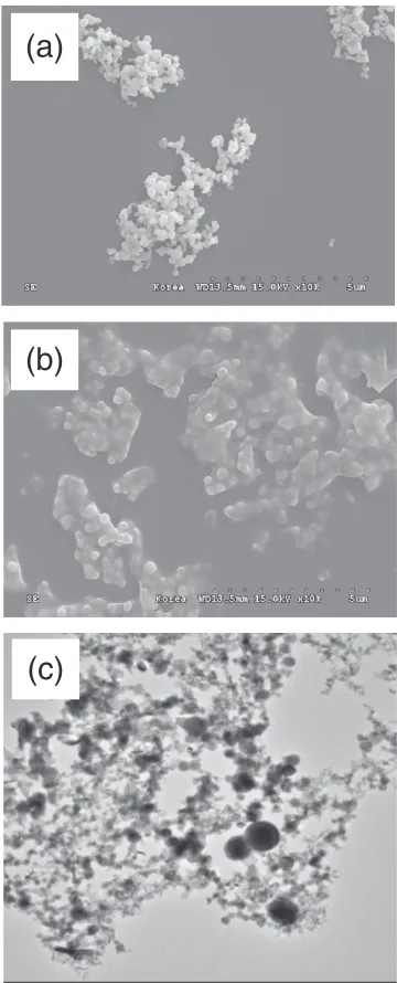Fig. 3SEM and TEM images of the prepared nanoparticles: (a) SEMimage of Sn-1.0 mass%Ag, (b) SEM image of Sn-3.5 mass%Ag, (c) TEMimage of Sn-6.5 mass%Ag.