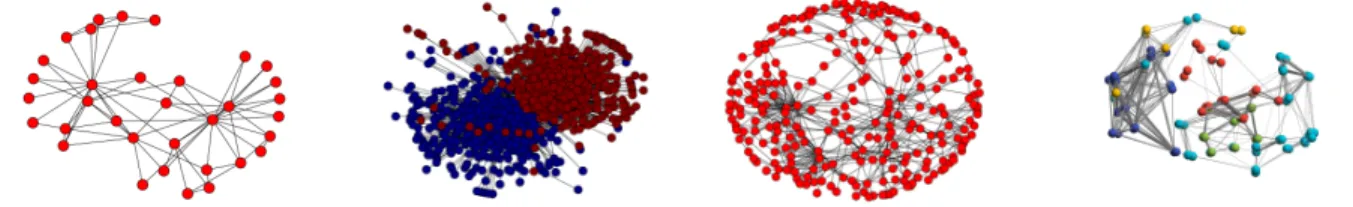Figure 1.1: Networks: (a) Friendship patterns in a karate club (Zachary, 1977); (b) Hyperlinks between political blogs (Adamic and Glance, 2005); (c) Electrical synapses in the nervous system of C-elegans; (d) Functional connectivity network of brain regio