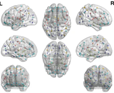 Figure 1.4: Mean community structure in the functional network of brain regions in a group of 70 healthy subjects