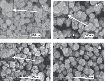 Fig. 5SEM images of the TiO2 powders taken from the test solution after 24 h: (a) water, (b) methyl alcohol, (c) ethyl alcohol, and (d)isopropyl alcohol