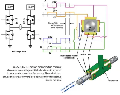 Figure 8 Diagram explaining the Internals and Functions of a Squiggle Motor [ 21] 