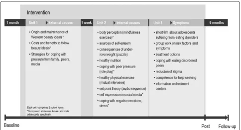 Fig. 1 Overview of the intervention and study procedure. Note. Questionnaire-set baseline: grade, body mass index; parental educationallevel; immigrant background; Questionnaire-set baseline, post, follow-up: Children’s Eating Disorder Examination Question