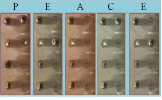 Figure 12.  PEACE actuated by Braille pins 