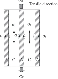 Fig. 10Diagram of plastic deformation of 5-layered composite underuniaxial tension.