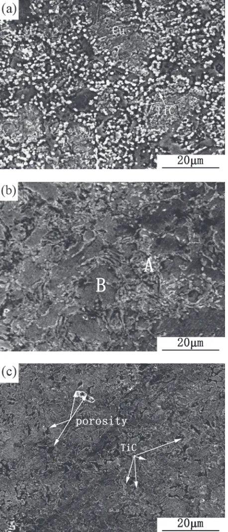 Fig. 3SEM images of the composites A with diﬀerent sintering temper-ature. (a) 800�C. (b) 900�C