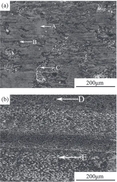 Fig. 9SEM micrographs of worn surface of the composites A and Bsintered at 900�C with 60N normal load