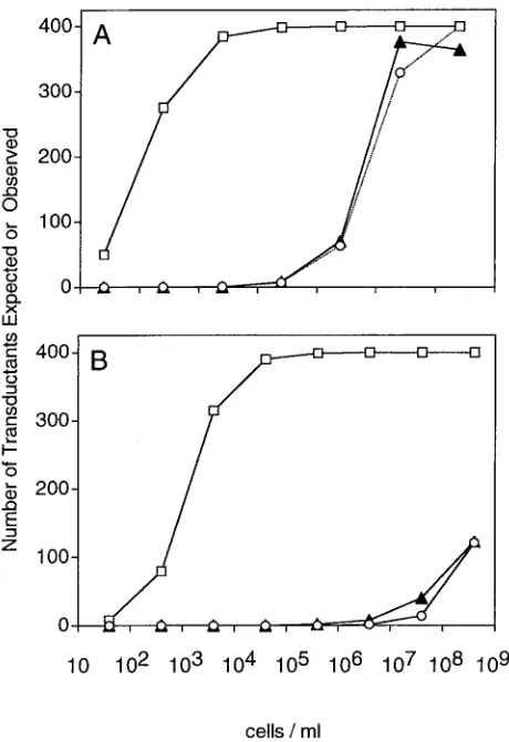 FIG. 2. A ﬁxed number of phage with serial dilutions of host cells.(A) Approximately 400 PFU of P1 transducing phage were incubated