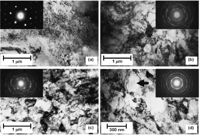 Fig. 10TEM micrographs and SAED patterns for (a) disc sample after 1/4 revolutions with " ¼ 2:2, (b) ring sample after 1/4 revolutionswith " ¼ 15:3, (c) disc sample after 2 revolutions with " ¼ 18:1 and (d) ring sample after 2 revolutions with " ¼ 122:4.