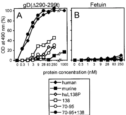 FIG. 6. Reactivity of cells expressing the mutant receptors to MAbR1.302. J cells expressing the indicated constructs were reacted with