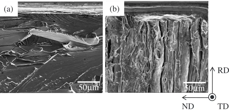 Fig. 4SEM images of fracture surfaces at 77 K; (a) fully annealed specimen, (b) roll-bonded specimen.