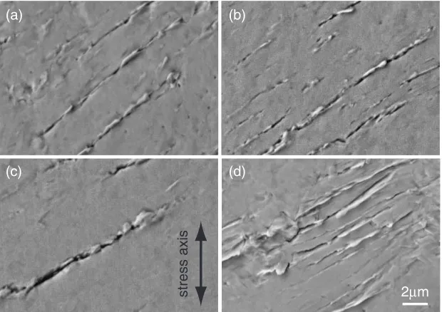 Fig. 4SEM images of shear bands formed during cyclic deformation at (a) "pl ¼ 2 � 10�4, (b) "pl ¼ 5 � 10�4, (c) "pl ¼ 1 � 10�3 and(d) "pl ¼ 2 � 10�3