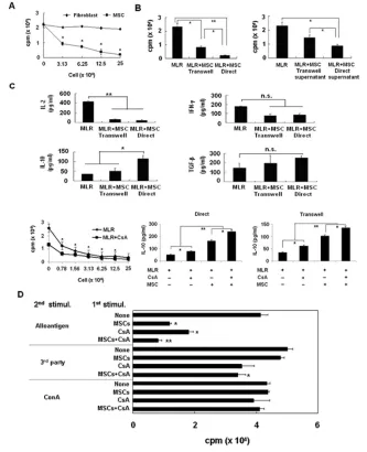Figure 2. Rat BM–derived MSCs inhibit alloantigen-driven proliferative responses of T cells.cells were used as controls
