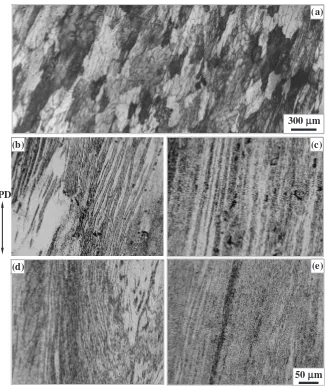 Fig. 2Optical micrographs of Al-3%Cu alloy deformed by ECAP at 523 K up to strains: (a) " ¼ 1 (b) " ¼ 2, (c) " ¼ 4, (d) " ¼ 8,(e) " ¼ 12.