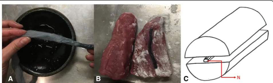 Fig. 2 The yarn (femoral nerve) between the cylindrical piece of meat (iliopsoas), and the thin layer of meat (fascia iliaca) that is about to beplaced on top (a)