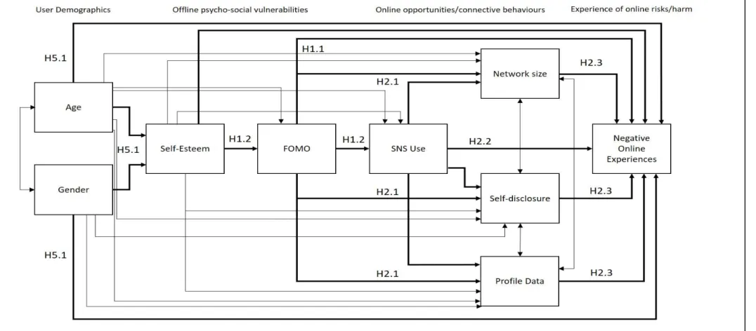 Figure 4.1: Hypothesised model testing relationship between demographics, offline psycho-social vulnerabilities, connective behaviours and negative online  experiences (showing all paths to be tested; bold lines = hypothesised paths)