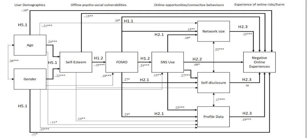 Figure 4.2: Illustration of direct paths and standardised coefficients (N = 489, Male (coded as 0) = 247, Female (coded as 1) = 242) for the structural SEM  model