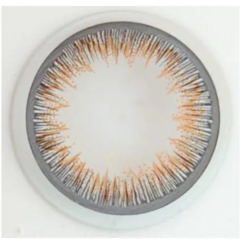 Figure 1. Object image 