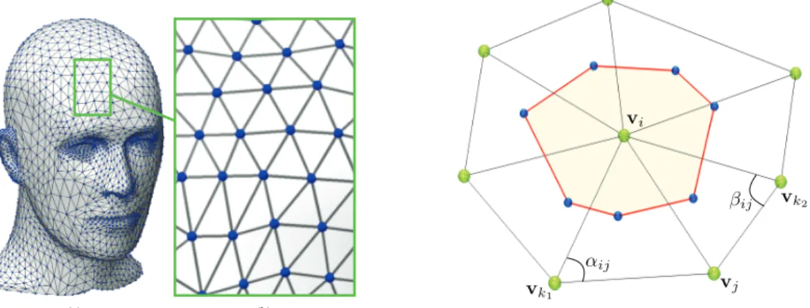 Figure 1.1: Triangular mesh representation (left); Cotangent scheme angles (right).