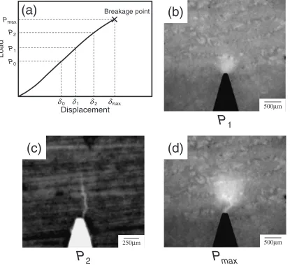Fig. 4Typical load-displacement curve and typical prefailure damage near the initial crack tip before breakage point.