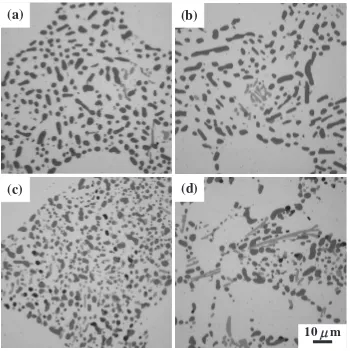 Fig. 9Eﬀect of magnesium content on microstructure of T6 heat-treated Rheocast (a), (c) and squeeze cast (b), (d) Al-7 mass%Si-Mgalloys
