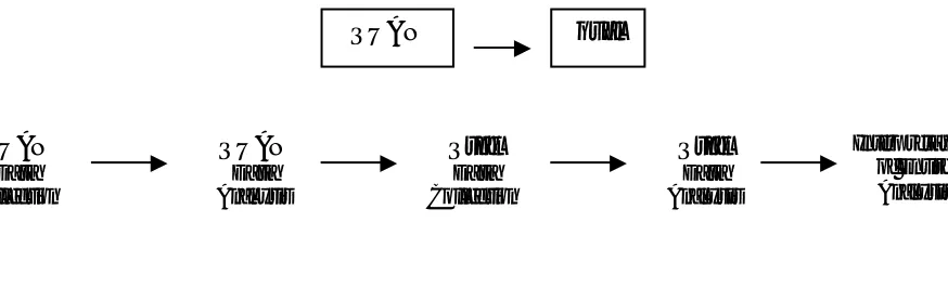 Figure 3.1: Sequential Exploratory Design 