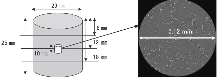 Fig. 1Internal observation positions for X-ray CT.