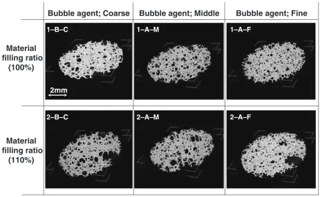 Fig. 2Cross-section images by X-ray CT scan for microscopic observation (observation depth: 12 mm).