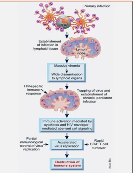 Figure 6:PATHOGENESIS 