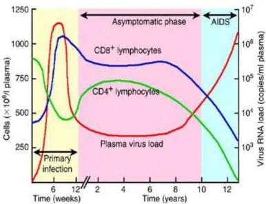 Figure 8: CLINICAL SPECTRUM WITH DECLINE IN CD4 COUNT 