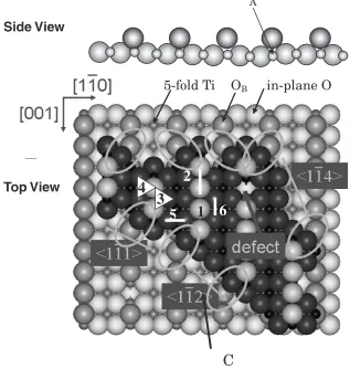 Fig. 7TiO2 (110) surface structure: side view (upper) and top view (lower). Large and small balls are oxygen and Ti atoms, respectively.