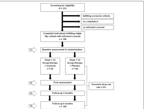 Fig. 1 Trial flow. Randomized, placebo-controlled, double-blind clinical trial with 5 phases of examination: T0) Screening; T1) Baseline, 12 weeklySST in combination with OXT vs