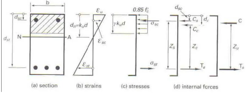 Figure 3.3: Doubly Reinforced Section at Ultimate Moment 