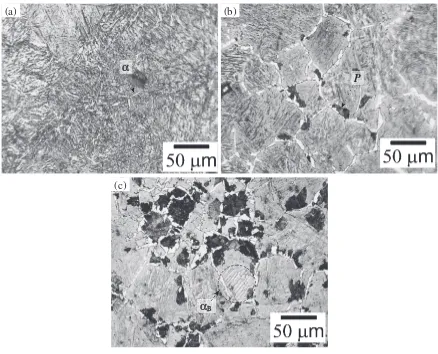 Fig. 5Final �=P=B fractions calculated for log-normal � grain distribu-tion. (S steel, 40 K/min).