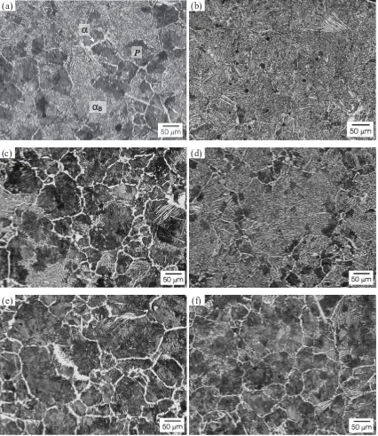 Fig. 6The ﬁnal microstructures of (a) HM, (c) S, and (e) LM cooled at 40 K/min and (b) HM, (d) S, and (f) LM at 100 K/min.