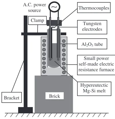 Fig. 3Schematic view of the experimental apparatus.